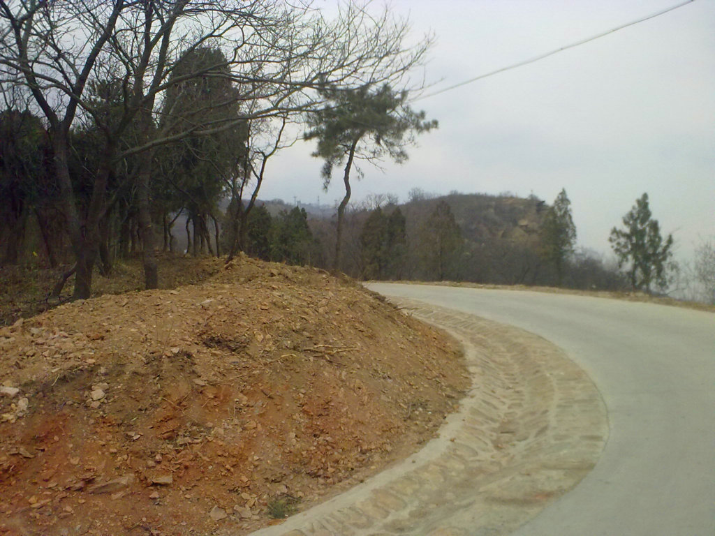 20100227367.jpg