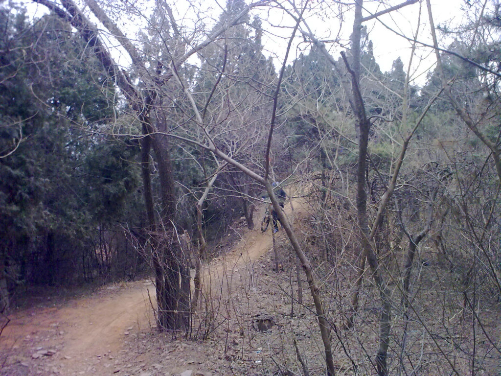 20100227358.jpg