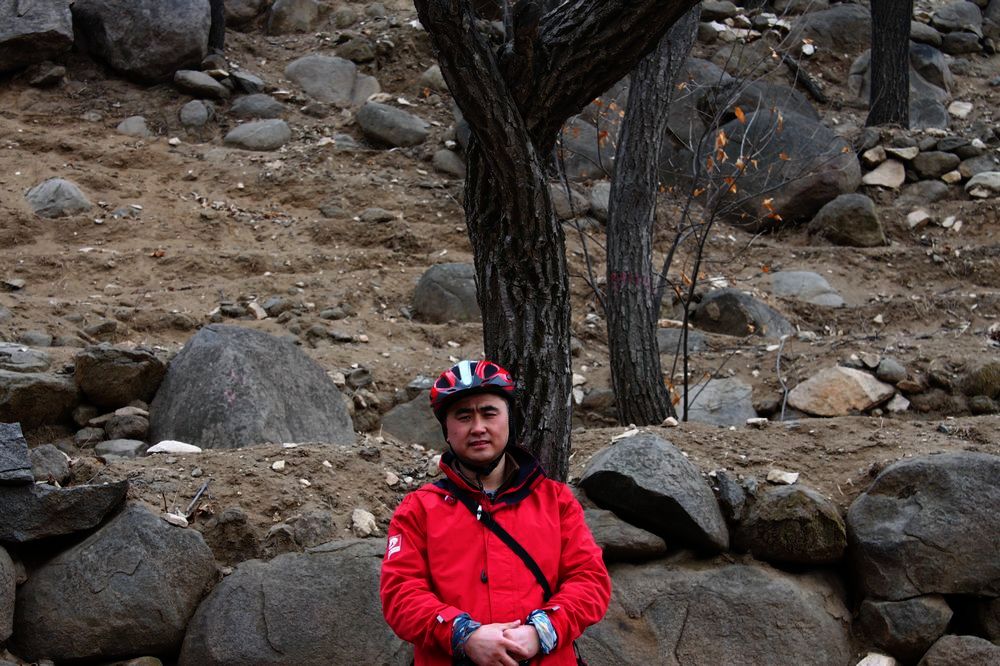 如果生活中没了你，那我就只想着找它了--那一棵孤独的歪脖树！