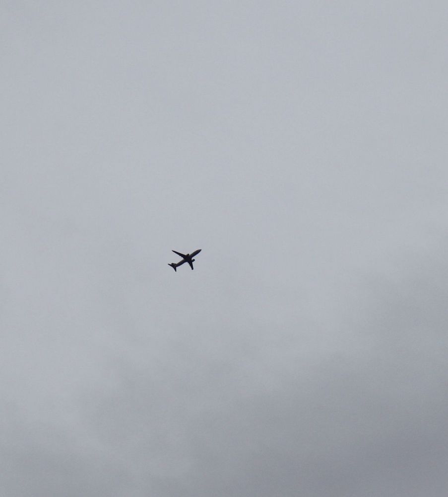 天上的灰机灰来灰去的