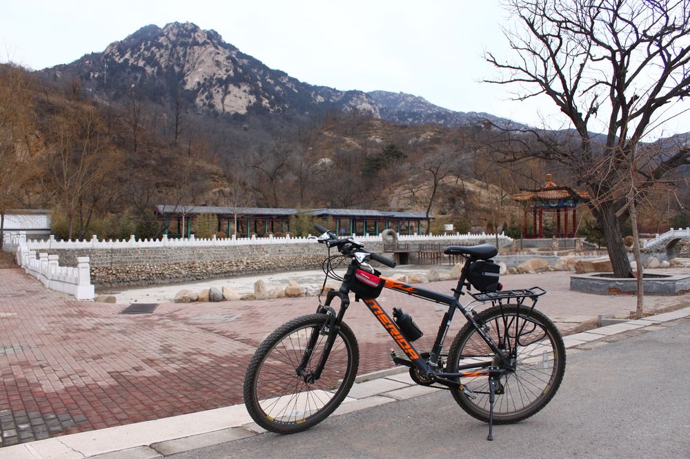 后面就是大杨山，山上是松柏，山下有竹林，很美