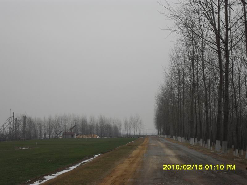 调整大小 SDC10894.JPG