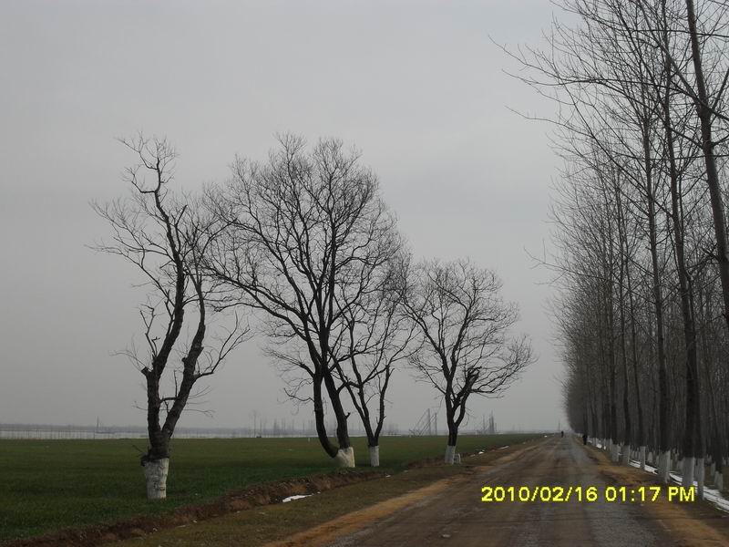 调整大小 SDC10896.JPG