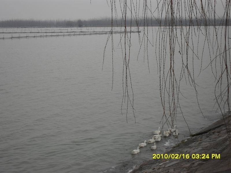 调整大小 SDC10939.JPG