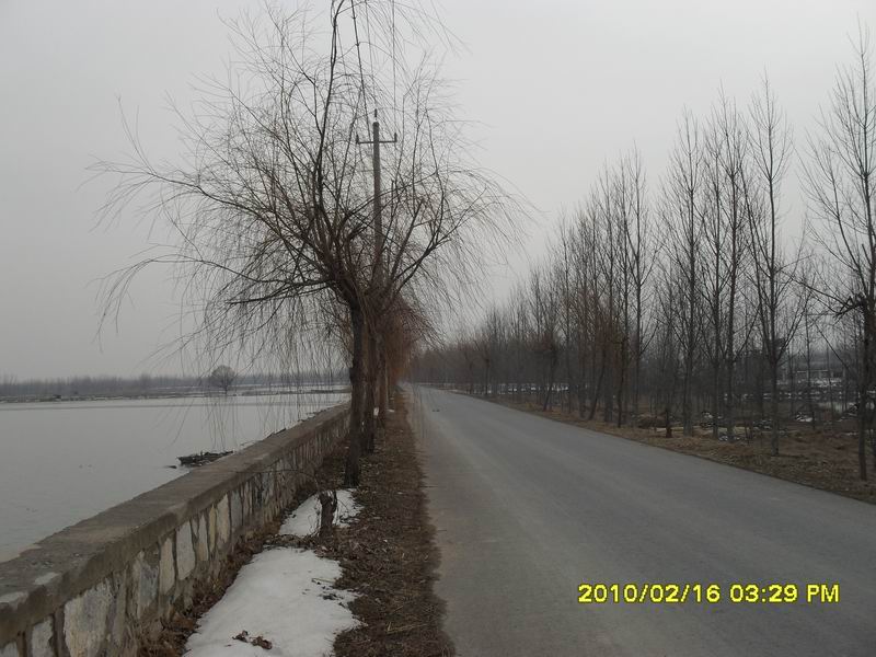 调整大小 SDC10941.JPG