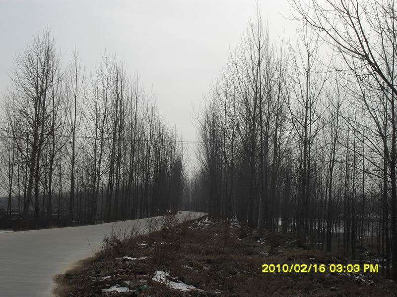 调整大小 SDC10925.JPG