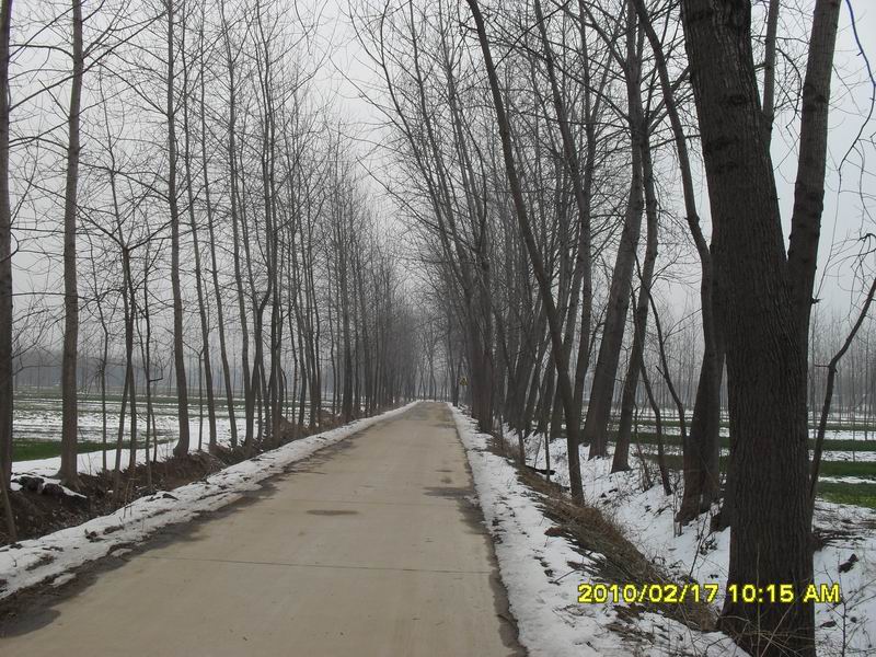 调整大小 SDC10963.JPG