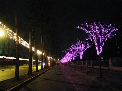 nEO_IMG_照片 036.jpg