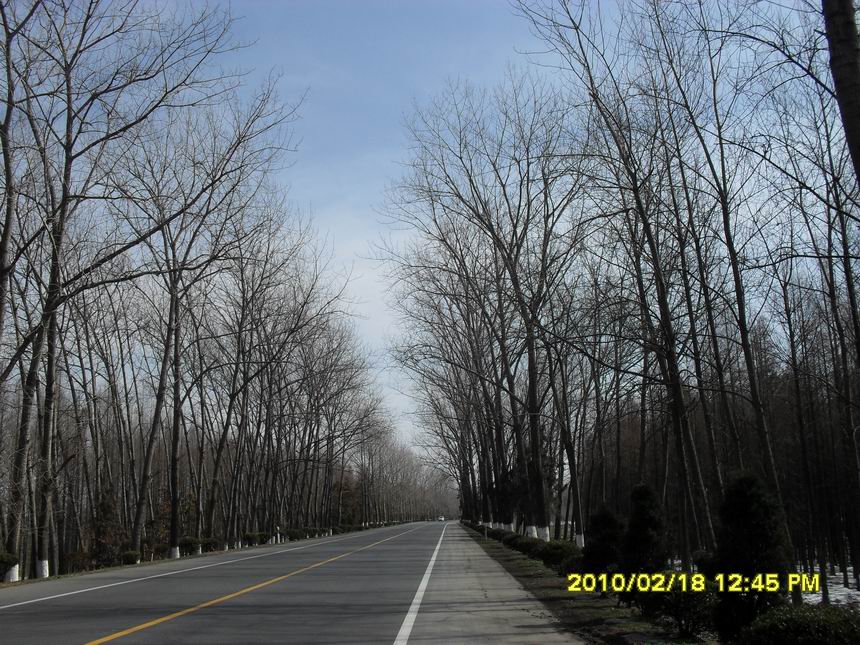 调整大小 SDC11046.JPG