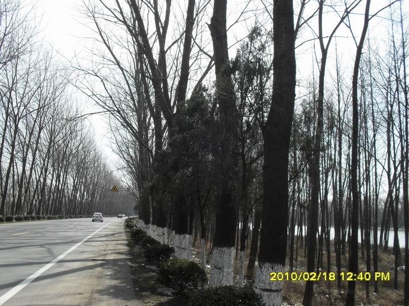 调整大小 SDC11043.JPG