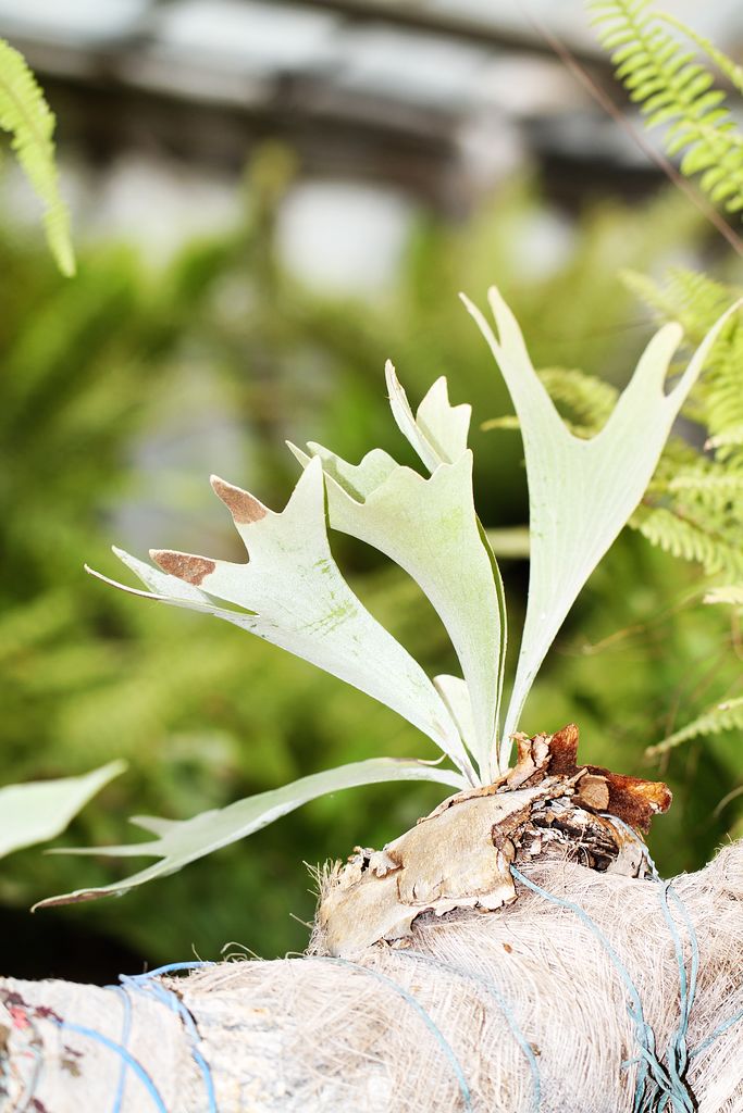 佳友聚会 010.jpg