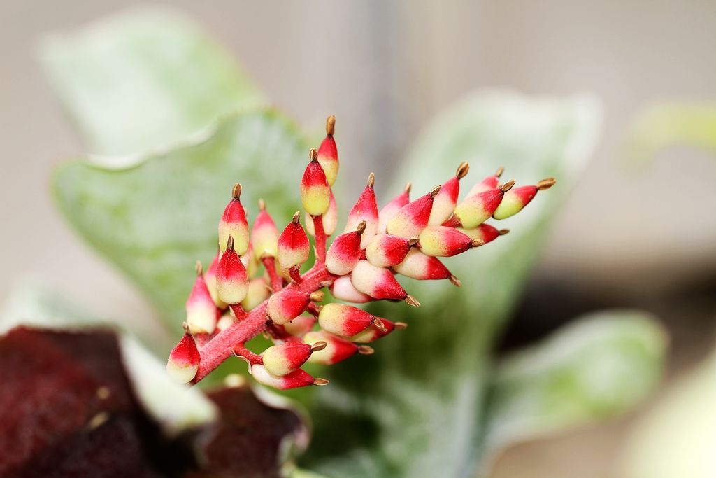 佳友聚会 012.jpg