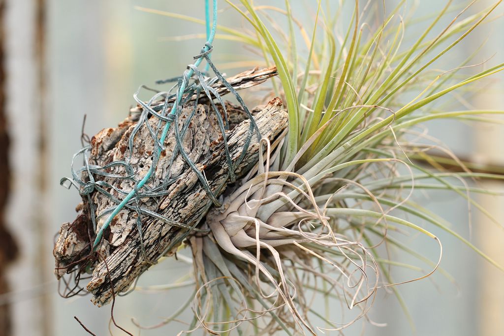 佳友聚会 013.jpg