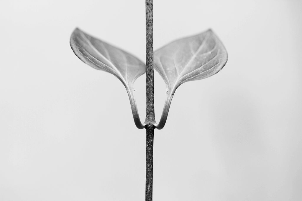 佳友聚会 033.jpg