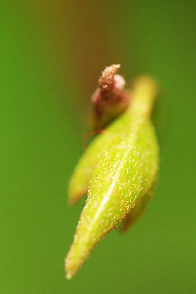 佳友聚会 034.jpg