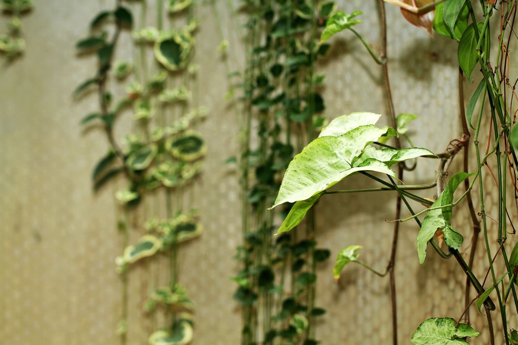 佳友聚会 031-1.jpg