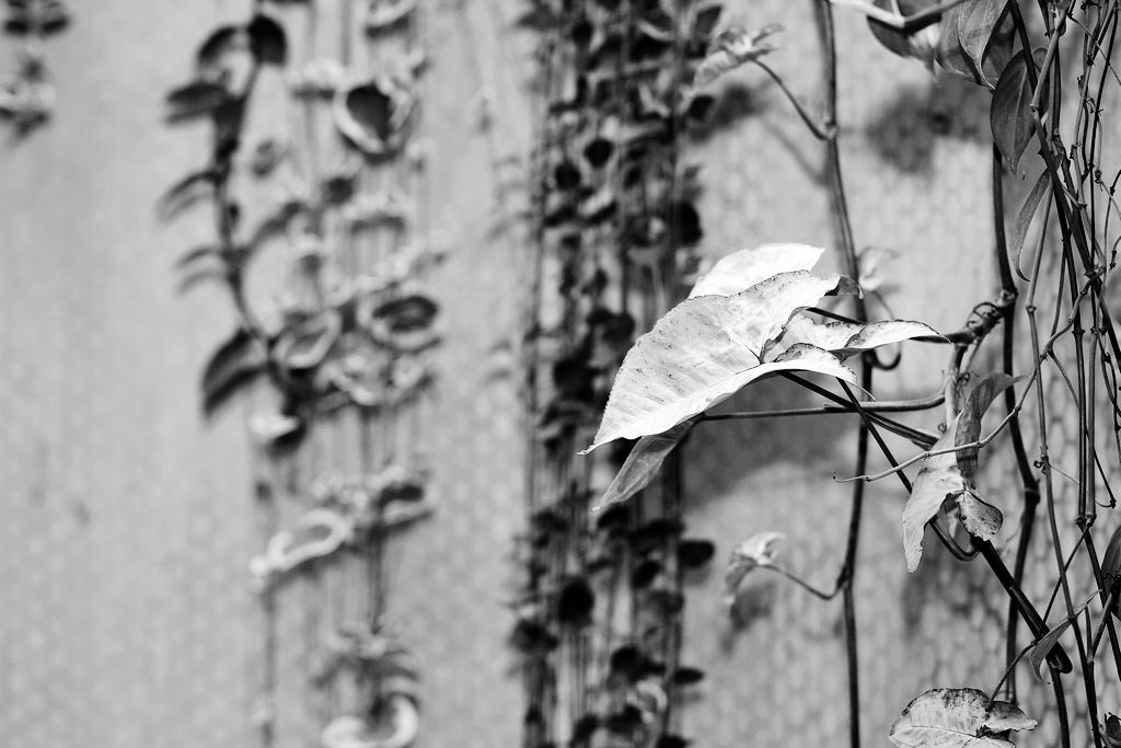 佳友聚会 031.jpg