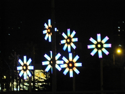 nEO_IMG_照片 056.jpg