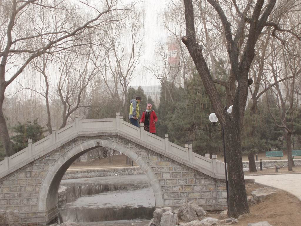 调整大小 P3205130.JPG