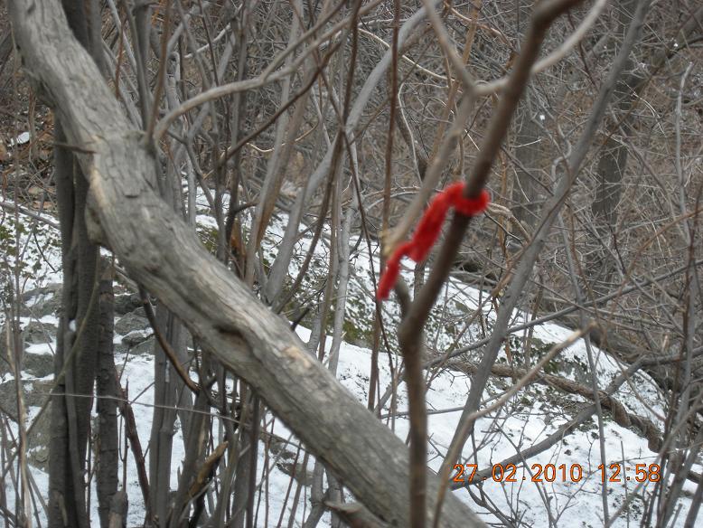 公社活动2 014.jpg