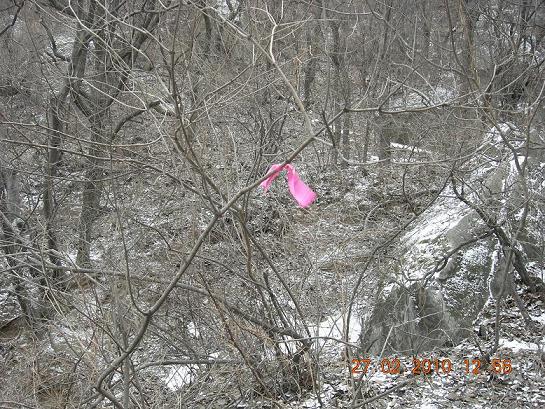 公社活动2 013.jpg