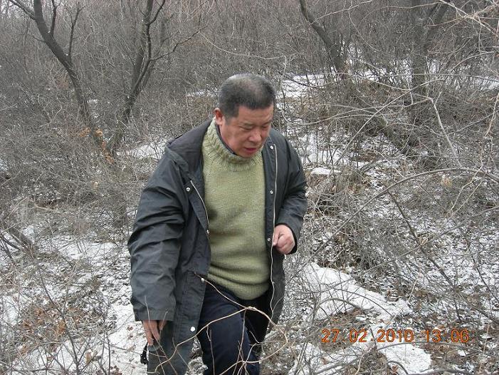 钻出荆棘后的表情1