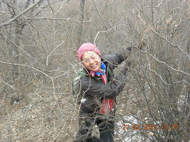 钻出荆棘后的表情2