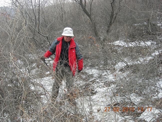 最后一个走出老林的任哥