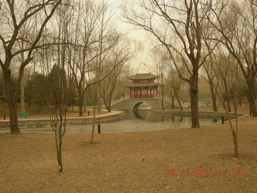 公社活动2 148.jpg