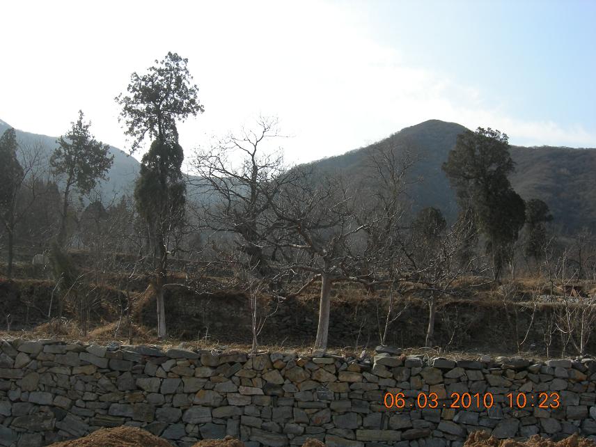 公社活动2 055.jpg