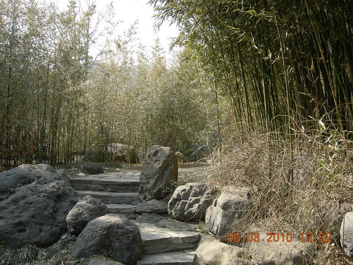 公社活动2 116.jpg