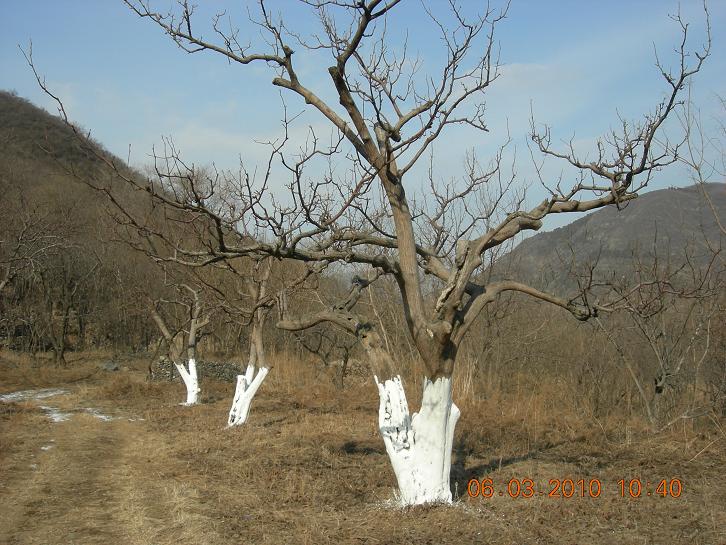 公社活动2 064.jpg