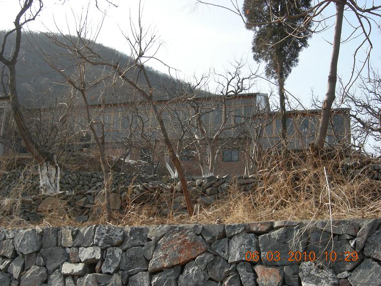 公社活动2 060.jpg