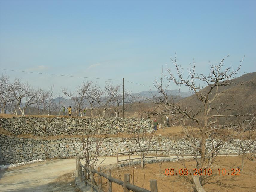 公社活动2 053.jpg