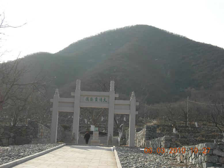 公社活动2 059.jpg