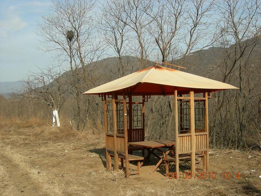 公社活动2 067.jpg