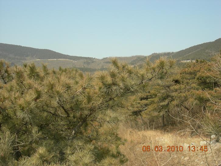 公社活动2 113.jpg