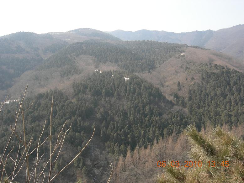 公社活动2 112.jpg