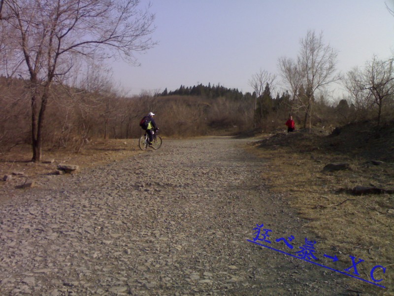 conew_20100403114.jpg