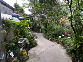 山上的农民小舍