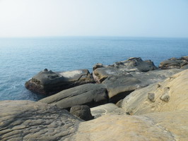 园内的海蚀岩石