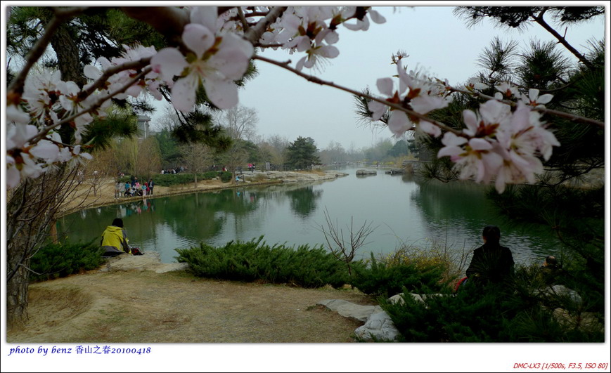 植物园内梅林往南方向