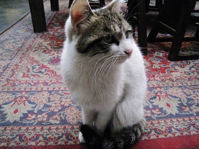 nEO_IMG_照片 005.jpg