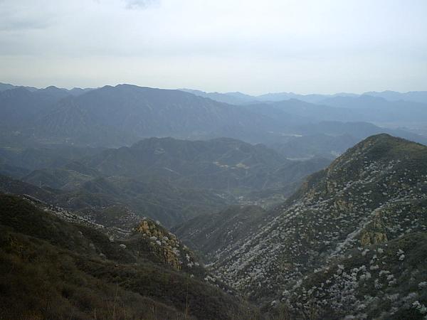 禅房村北头的海拔也有900米，俯视小山