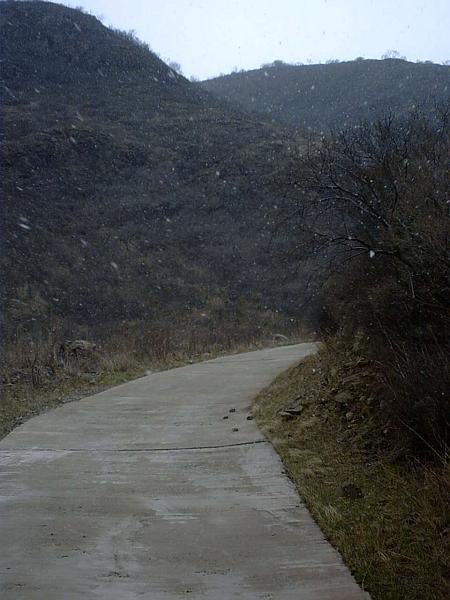 大雪纷纷打我小脸