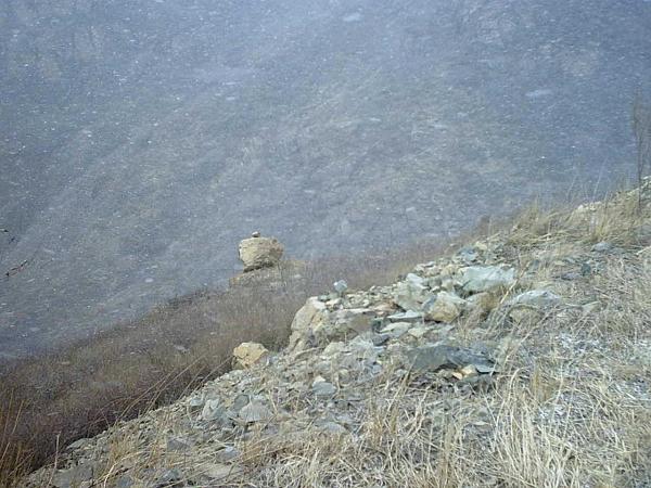 阳台山的这块石头大家见过了没有