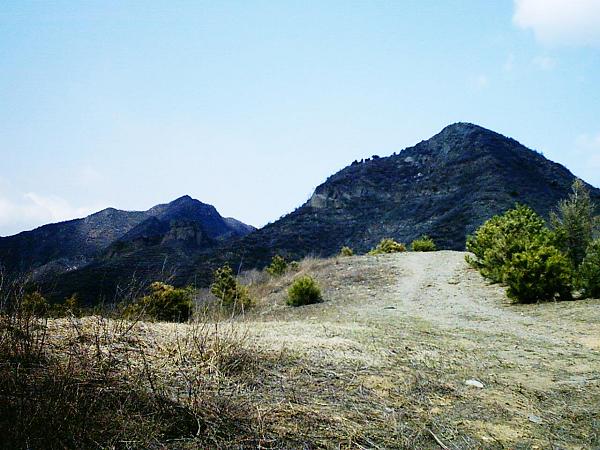 这个往东北方向的岔道通往桃树崖尖和抓髻山