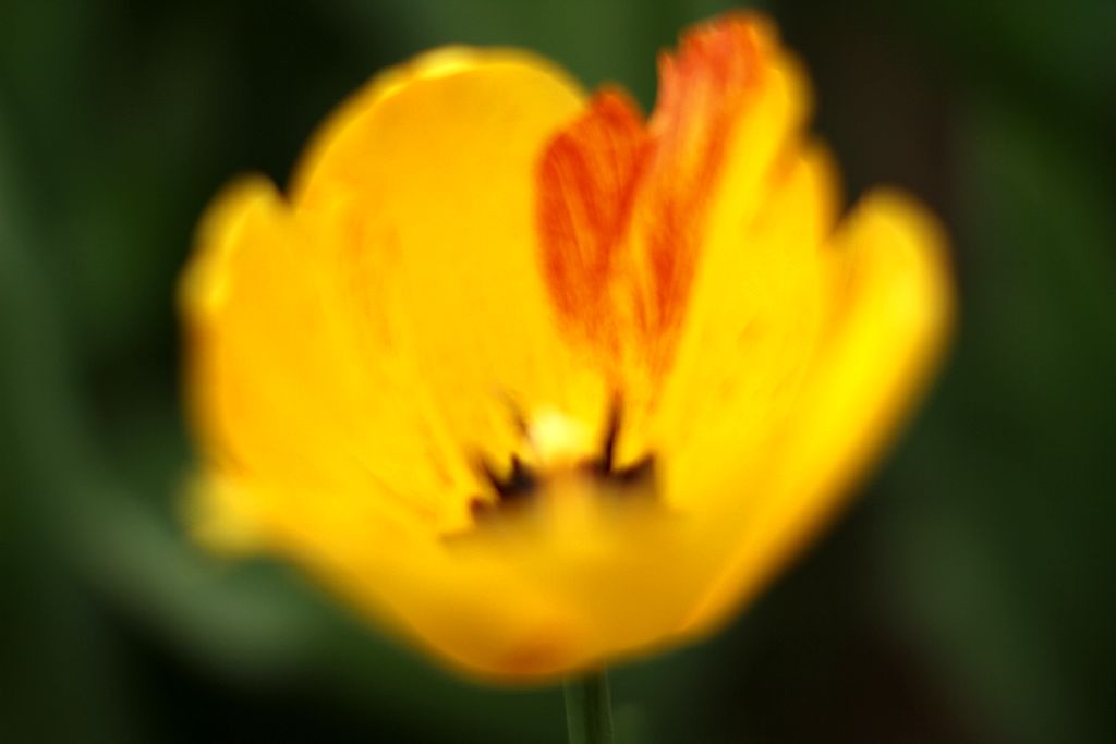 中山公园 102.jpg