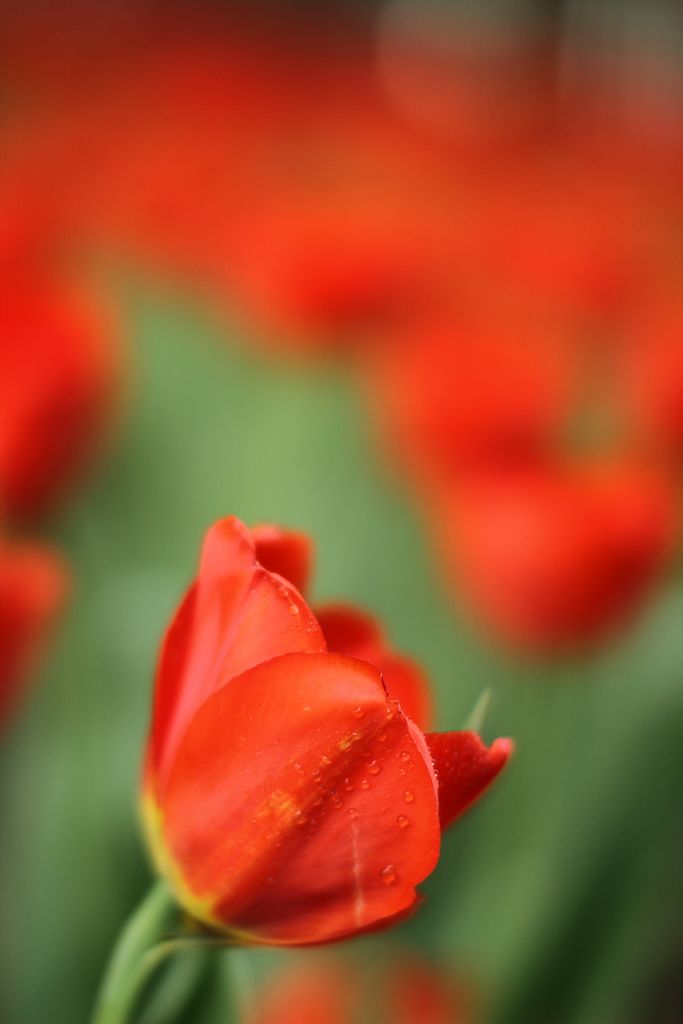 中山公园 090.jpg