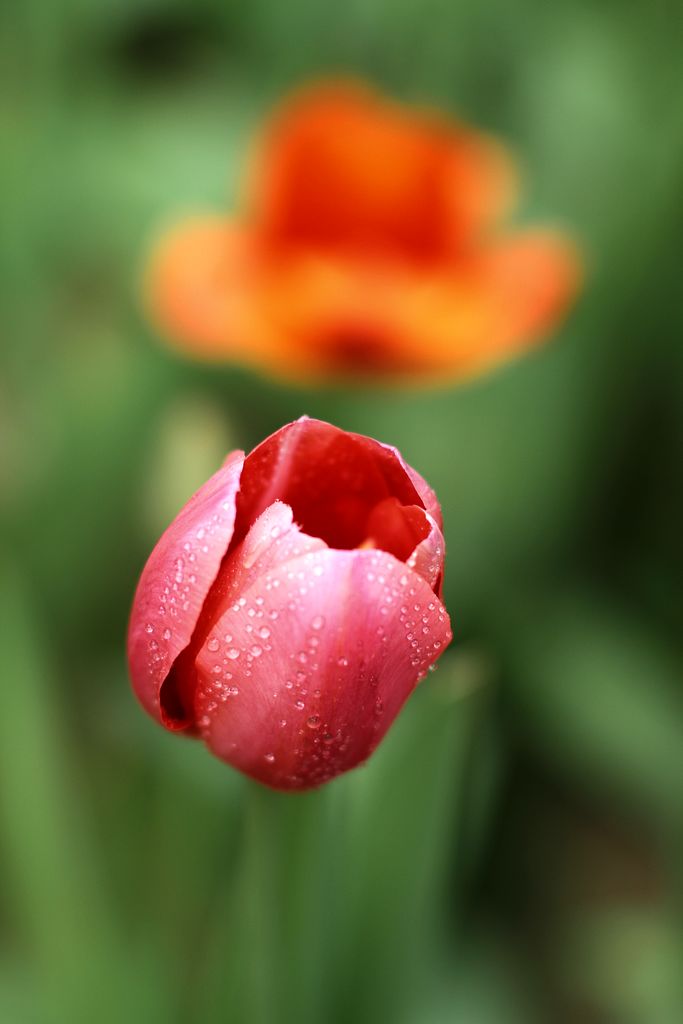 中山公园 074.jpg